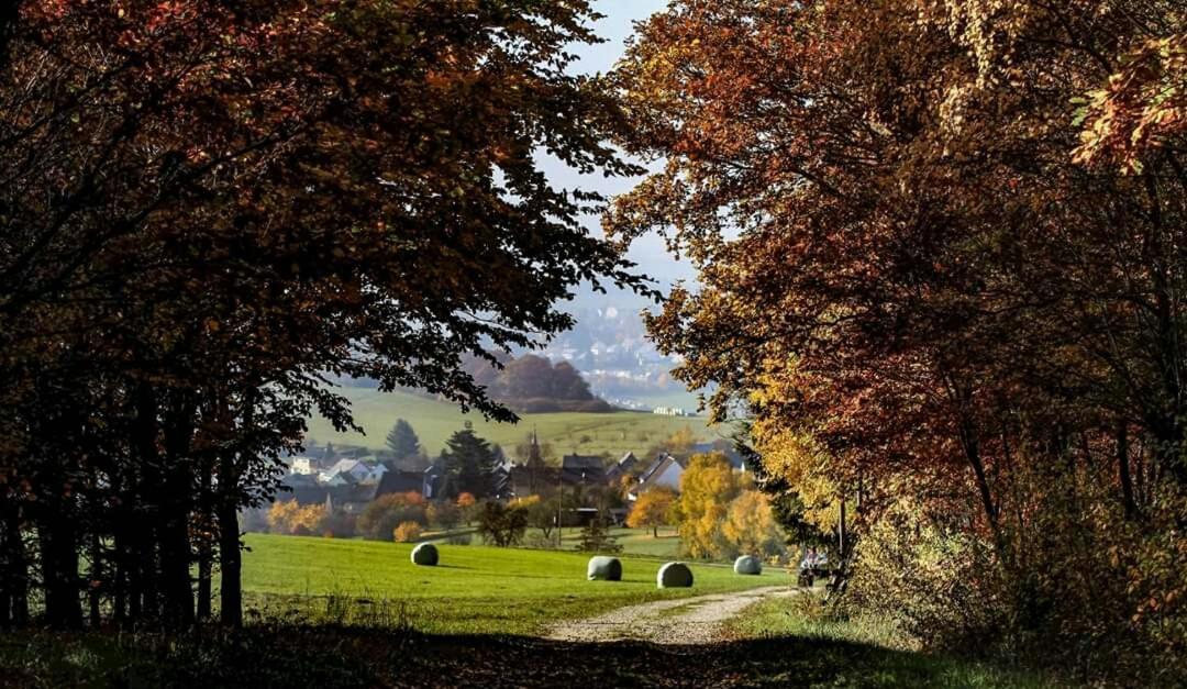 Ferienwohnung Alpaka Blick Schneppenbach Exteriér fotografie