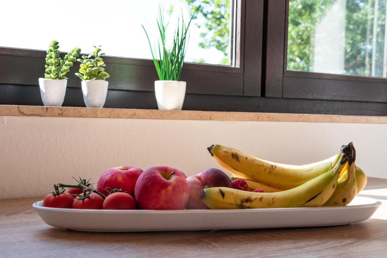 Ferienwohnung Alpaka Blick Schneppenbach Exteriér fotografie